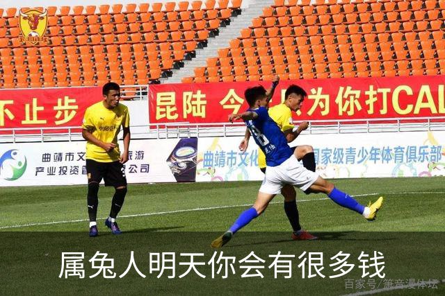 属兔人明天你会有很多钱