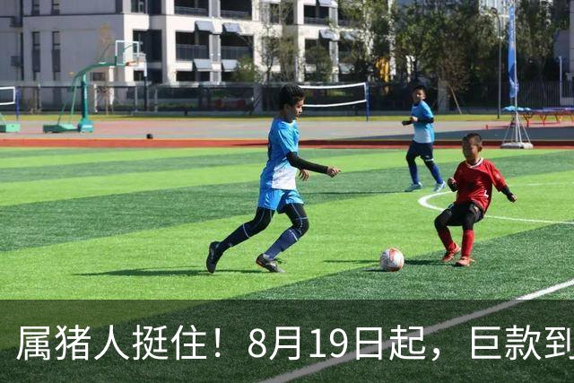 属猪人挺住！8月19日起，巨款到账、人生彻底起飞，今年你要笑醒